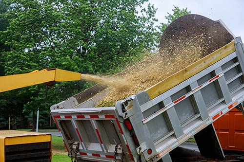 commercial tree removal