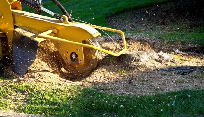 local stump grinding